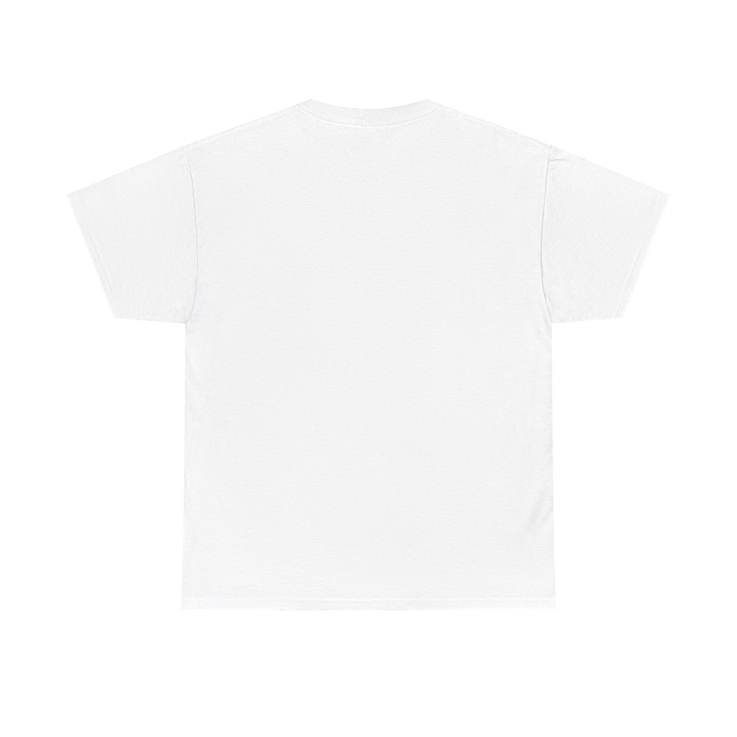 1976 vintage t-shirt