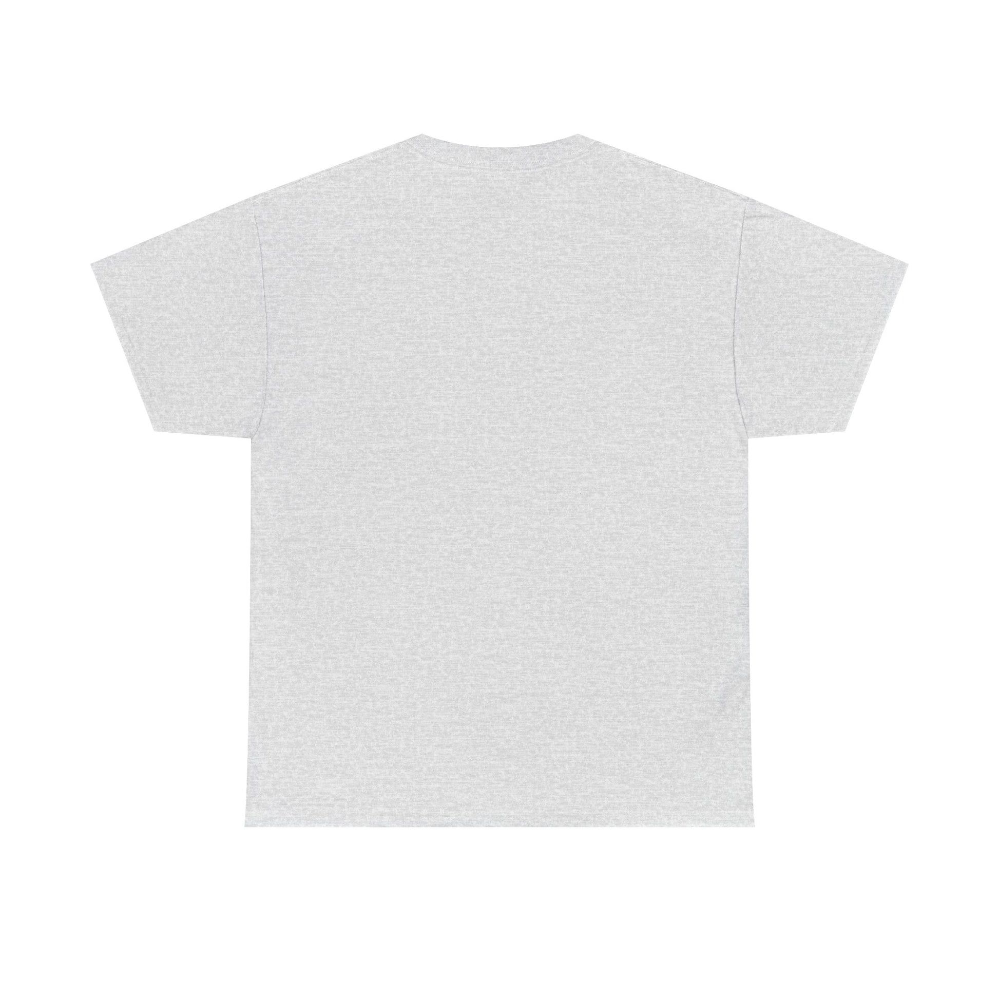 1976 vintage t-shirt